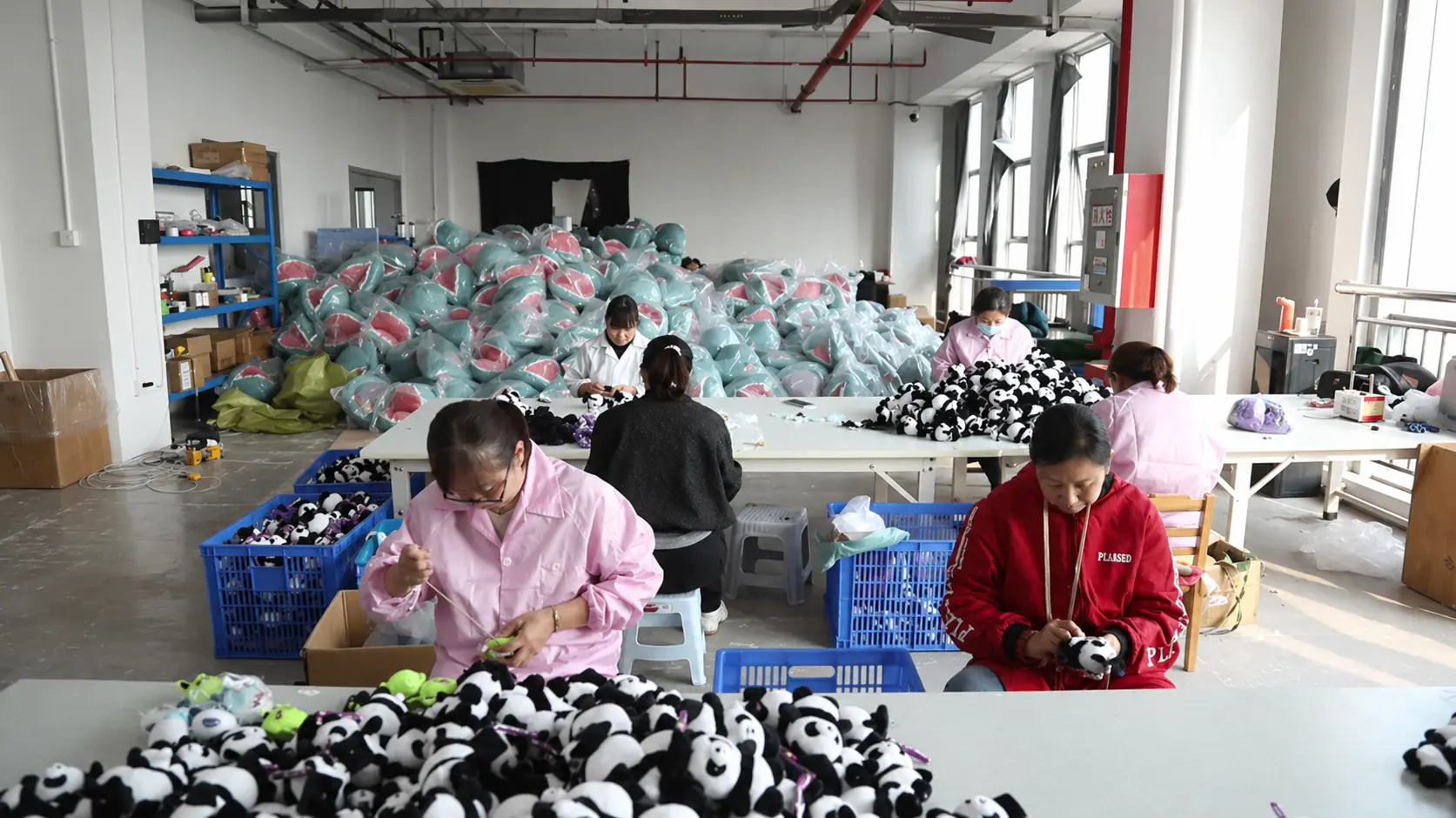 Company & Factory View 23