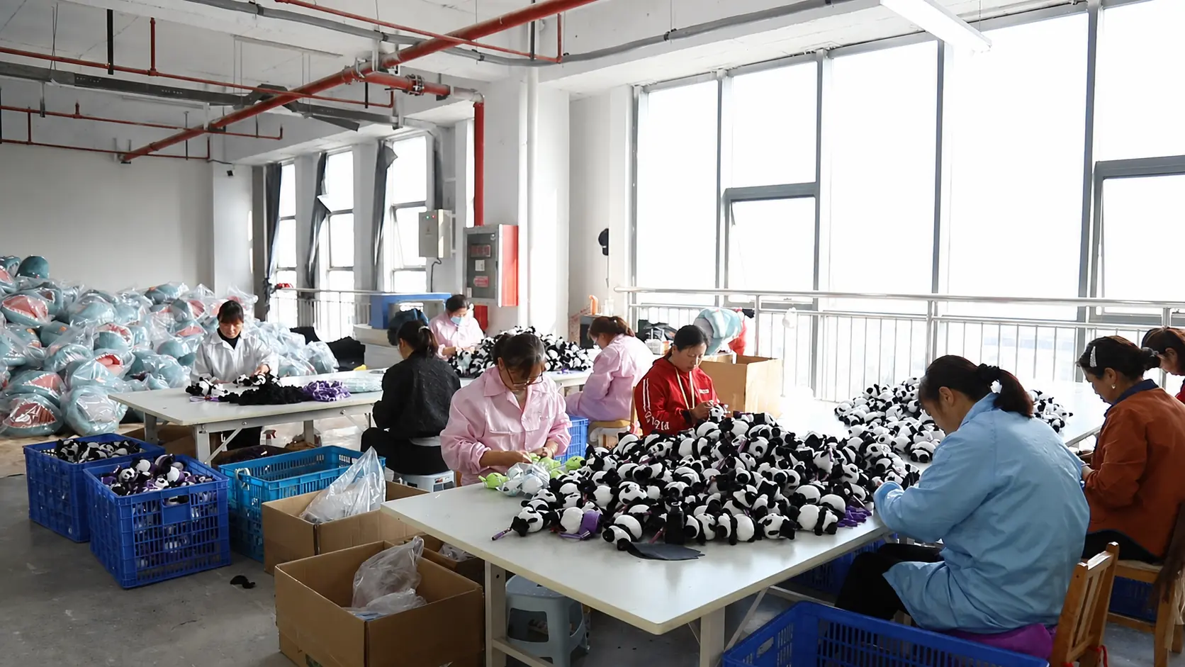 Company & Factory View 30
